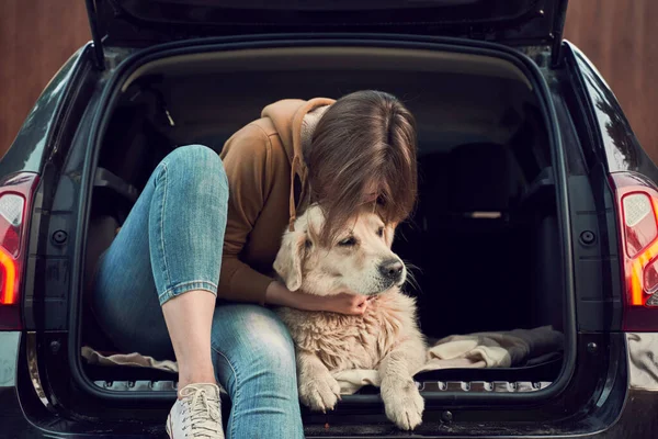Mujer joven abraza golden retriever mientras está sentado en el maletero abierto de coche negro — Foto de Stock