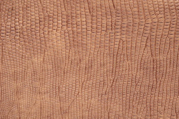 Background with brown reptile artificial leather, close up – p — Stock Photo, Image