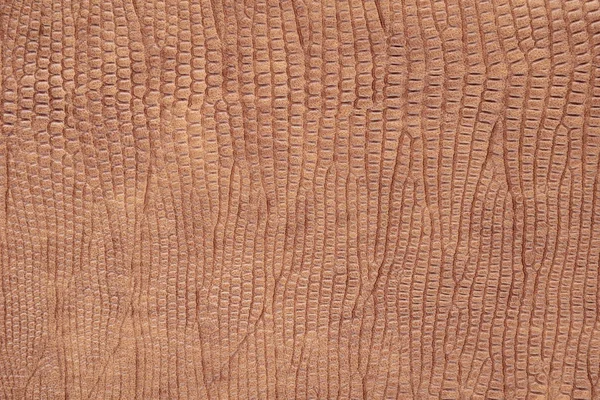Fond en cuir artificiel de reptile brun, gros plan - p Photos De Stock Libres De Droits