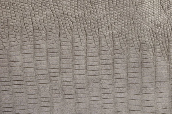 Bakgrund med grå krokodil eco läder, närbild – foto jag Stockbild