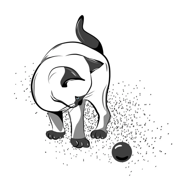 Tailandés gatito jugando con pelota — Vector de stock