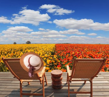 Ahşap rahat şezlonglarla çiçek alanının yanındaki. 