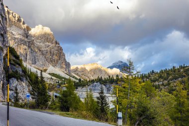 Son güneşli sonbahar günü geçmesi Faltzarego, Dolomites, İtalya.