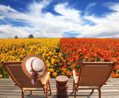 Ahşap rahat şezlonglarla çiçek alanının yanındaki. 