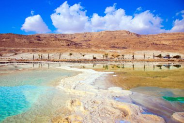 Buharlaştırılmış tuz Dead Sea, İsrail'in fantastik desenler oluşturma.
