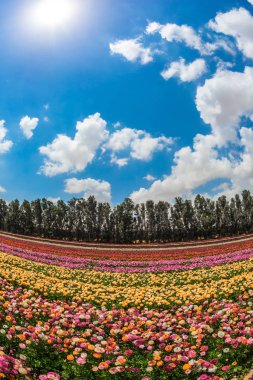 Kibbutz alanının yanındaki Gazze Şeridi, İsrail.