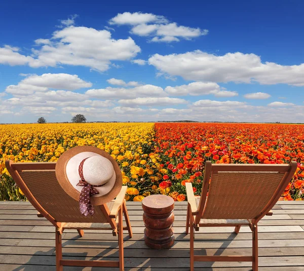 Tumbonas Cómodas Madera Junto Campo Flores — Foto de Stock