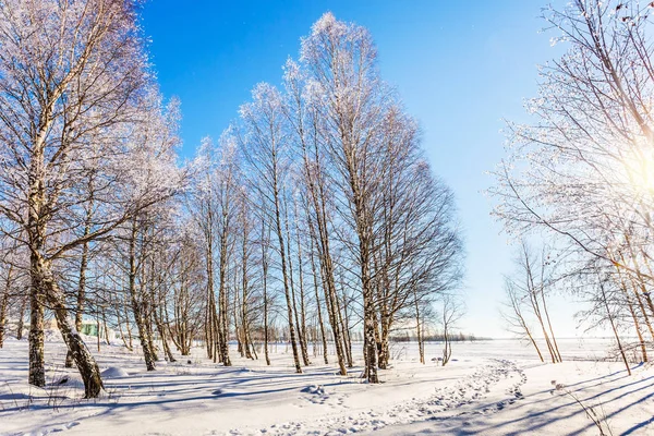 라플란드의 차가운 — 스톡 사진