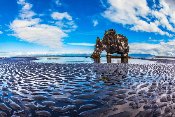 Rock Hvitserkur Şeklinde Büyük Mamut Deniz Plaj Zlanda — Stok fotoğraf