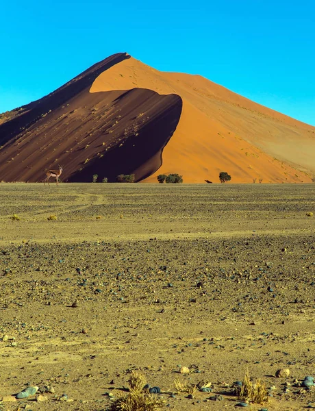 Famosas Dunas Arena Gigantes Parque Namib Naukluft Atardecer — Foto de Stock