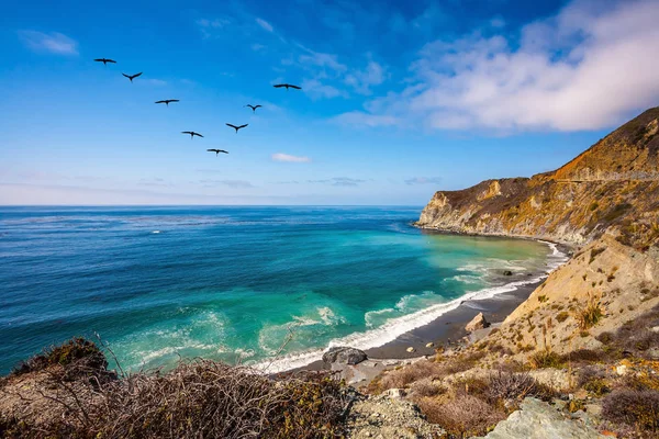 Cranes Flying Scenic Ocean Bay Emerald Water — Stock Photo, Image