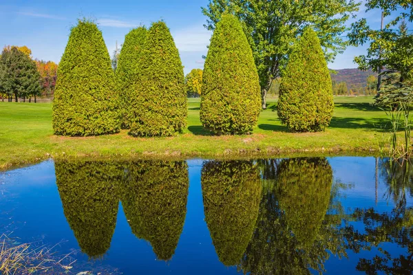 Pequena Lagoa Com Espelho Água Refletindo Arbustos Decorativos Céu Azul — Fotografia de Stock