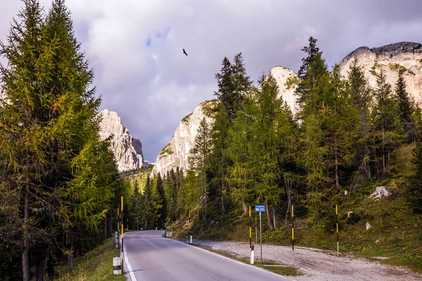 Son güneşli sonbahar günü geçmesi Faltzarego, Dolomites, İtalya.