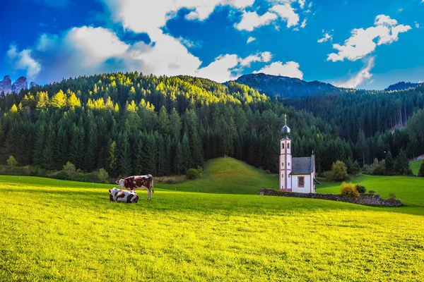 Berühmte Kirche Der Maria Magdalena Und Glockenturm Einem Gebirgstal Tirol — Stockfoto