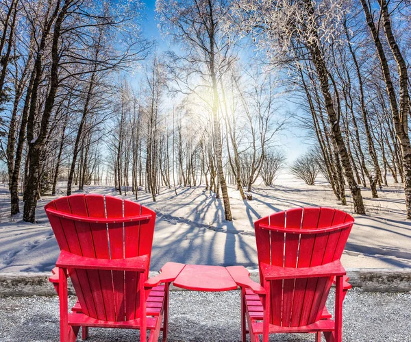 Grandes Chaises Longues Plastique Rouge Pour Détendre Dans Forêt Arctique — Photo