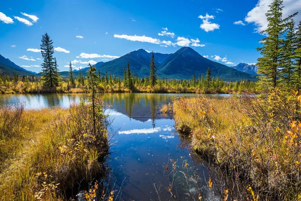森と山 カナダに囲まれた浅い湖の朱色 — ストック写真