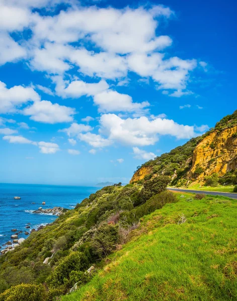 Weg Naar Beroemde Kaap Goede Hoop South Africa — Stockfoto