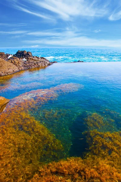 Voyage Magique Sur Île Volcanique Madère — Photo