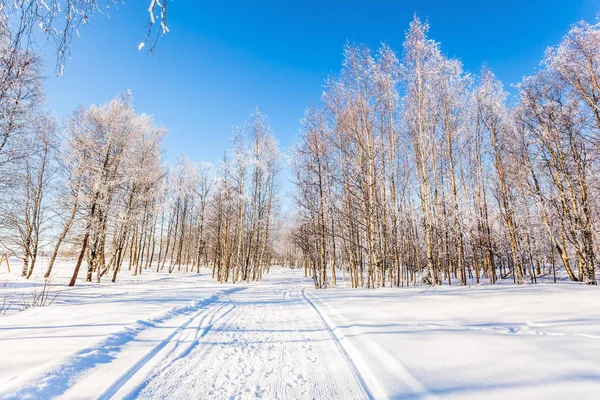 Camino Agachado Nieve Día Helado Ártico Laponia — Foto de Stock