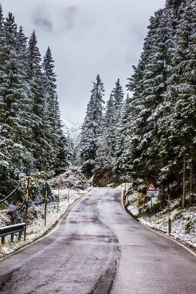 Alpine Passo Giau Entre Abetos Pinos Cubiertos Nieve — Foto de Stock