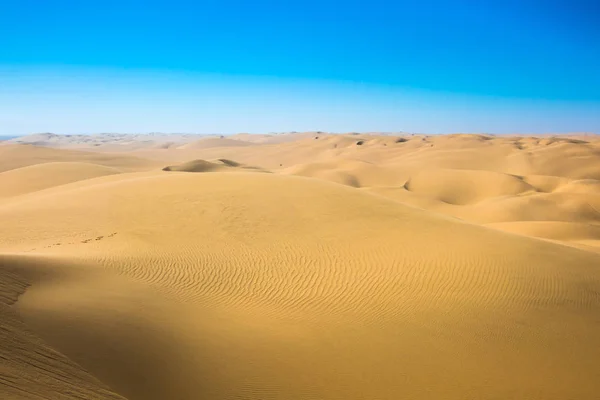 Costa Atlantica Della Namibia Sud Africa — Foto Stock