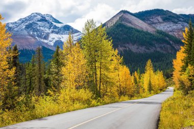Kusursuz fırtına günbatımı Rocky Dağları üzerinde. Muhteşem gür yaprak dökmeyen ve yaprak döken ormanları arasında yoldur. Aktif Turizm kavramı