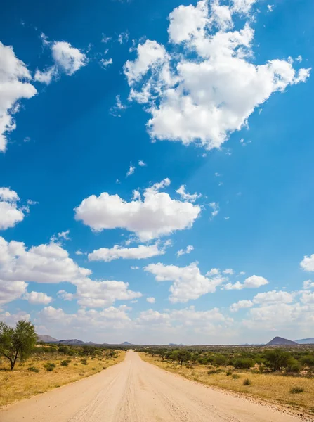 Toprak Yol Savannah Namibya Için Seyahat Egzotik Turizm Kavramı — Stok fotoğraf