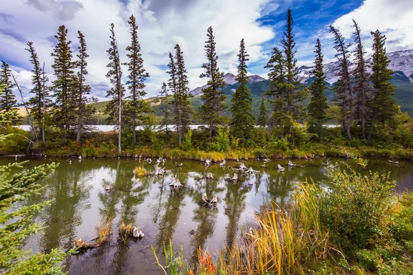 Lush clouds are reflected in the smooth water. Concept of active and ecological tourism. Shallow-water lakes, picturesque firs and mountains. The valley along the Pocahontas road