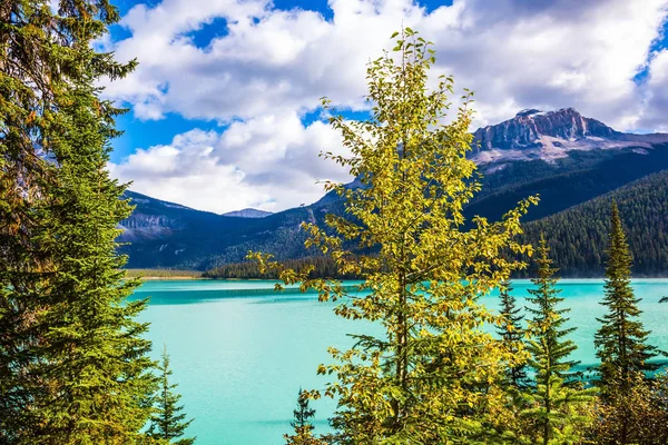 Μαγεία Emerald Lake Στον Καναδικό Βραχώδη Όρη Σμαραγδένια Λίμνη Περιβάλλεται — Φωτογραφία Αρχείου