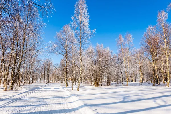 Soleado Día Helado Ártico Laponia Camino Agachado Nieve Concepto Turismo — Foto de Stock