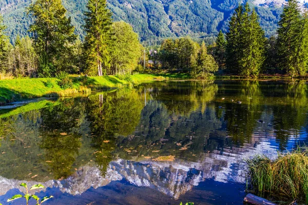 Lago Reflejaba Abeto Siempreverde Los Alpes Nevados Estación Montaña Chamonix —  Fotos de Stock