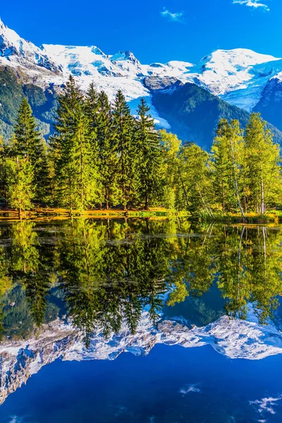 位于勃朗峰脚下的一座风景如画的公园 湖水反射出常青的云杉 积极生态旅游理念 — 图库照片