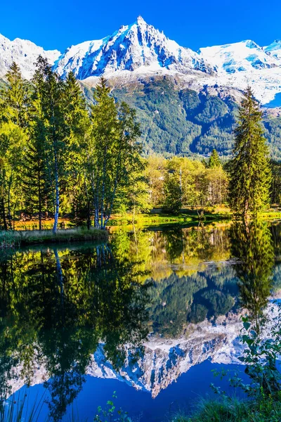 Horského Střediska Chamonix Haute Savoie Jezero Odráží Zasněžené Alpy Jehličnaté — Stock fotografie