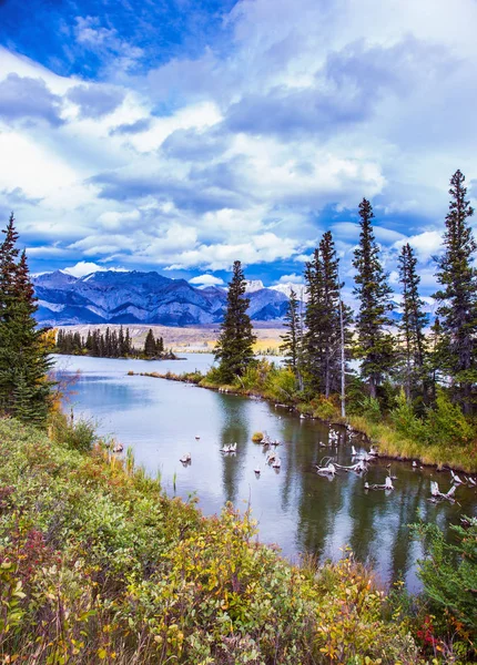 Felsige Berge Kanada Flachwasserseen Malerische Tannen Und Weit Entfernte Berge — Stockfoto