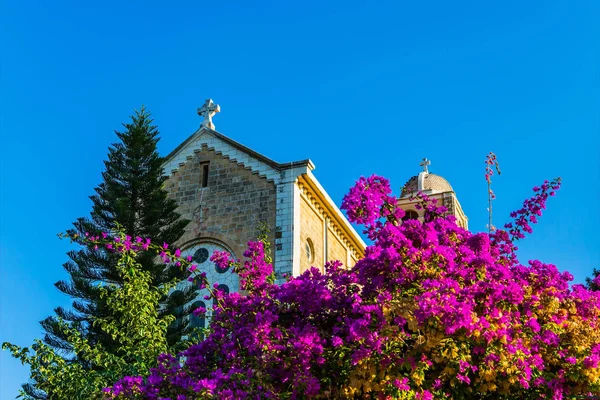Mosteiro Silêncio Latrun Jardim Mosteiro Está Florescendo Dezembro Ensolarado Israel — Fotografia de Stock