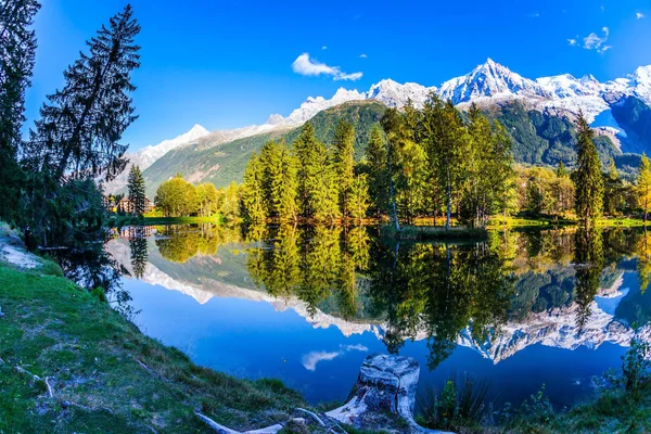 Kouzelně Krásný Park Horském Středisku Chamonix Velký Pařez Břehu Jezera — Stock fotografie