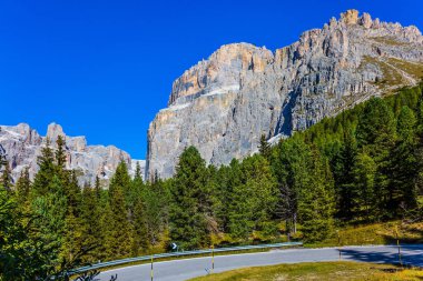 Dolomit Alps. Güzel güneşli gün. Kalker ve dolomit kayaları dibinde iğne yapraklı ormanlarda yol geçmektedir. Etkin, aşırı ve otomobil Turizm kavramı