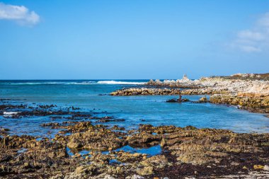 Kayalar penguen kolonisi Masa Dağı Milli Park, Güney Afrika için. Büyük kayalar ve yosun Atlantik kıyısında. Eko-turizm kavramı. Afrika siyah-beyaz penguenler