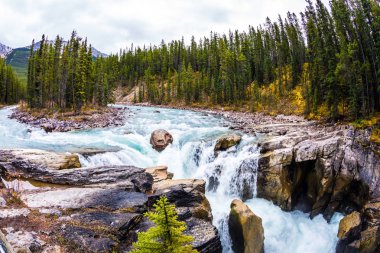 Kanada sonbahar gezisi. Nehir küçük ada. Sanvapta büyük Jasper Milli parkta düşüyor. Aşırı ve ekolojik turizm kavramı