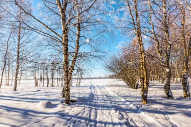 Ormanın saydam soğuk hava. Casiye yol içinde belgili tanımlık kar. Noel parke koruda. Arctic Lapland güneşli soğuk gün. Aşırı Turizm kavramı