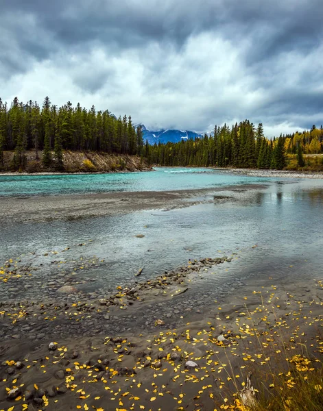 Rocky Mountains Van Canada Groene Naaldbossen Groeien Langs Oevers Van — Stockfoto