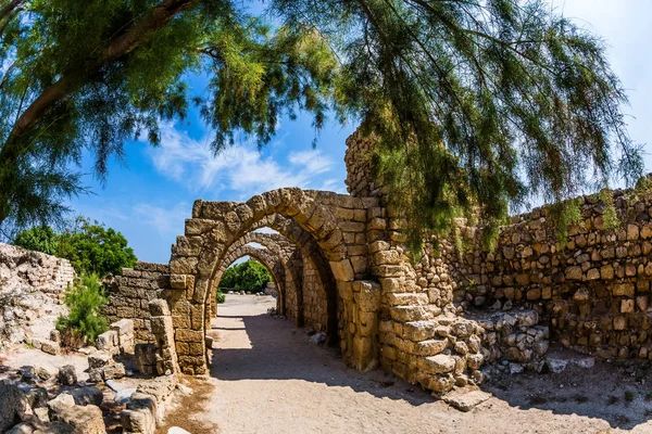 Solig Vårdag Israel Begreppet Ekologiska Och Historiska Turism Välvda Passage — Stockfoto