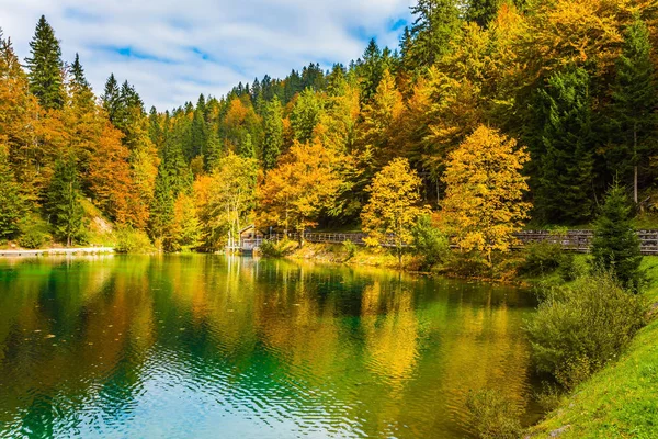 湖上容易涟漪 美丽的秋天森林在安静的湖 Fusine 被反射 雨后洪水 文化生态旅游理念 — 图库照片
