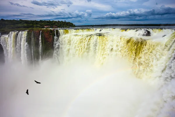 The Devil\'s Throat is the most grandiose part of the Iguazu Falls. The rainy season. Andean condors fly above the roaring water. Concept of active and photographic tourism