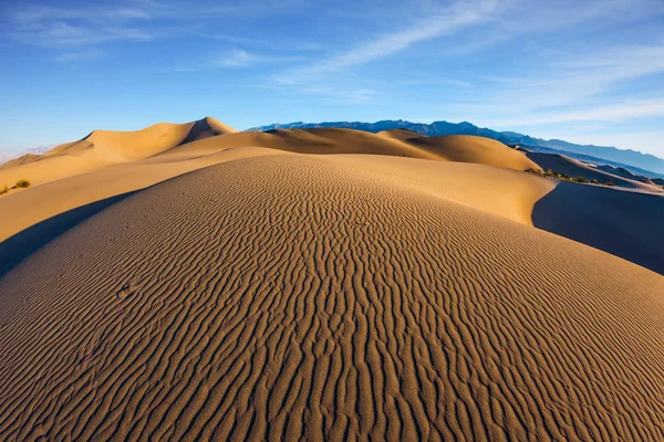 Zandduinen Zijn Bedekt Met Kleine Rimpelingen Mesquite Platte Zandduinen Heldere — Stockfoto