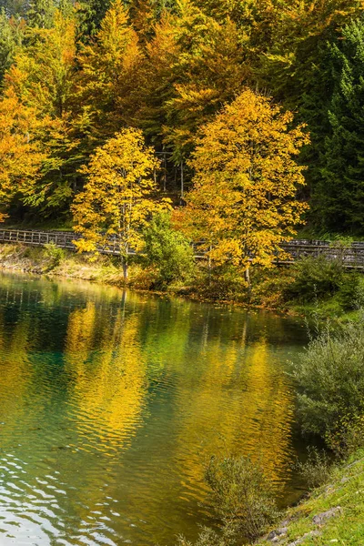 Lago Tranquilo Lago Fusine Agua Alta Después Una Lluvia Hermosos —  Fotos de Stock