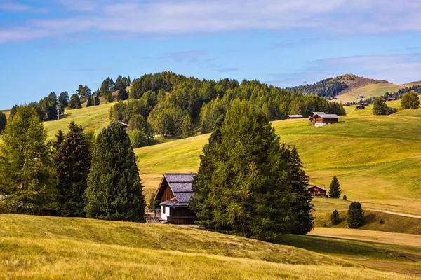 Naturalny Krajobraz Miasta Alpe Siusi Magia Pożółkły Miękkie Stoki Dolomitów — Zdjęcie stockowe