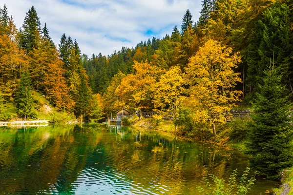 Reflejos Bosques Lago Lago Tranquilo Norte Italia Lago Fusine Inundación —  Fotos de Stock