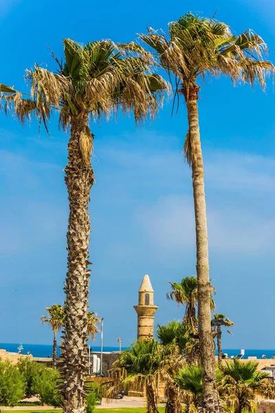 Ruïnes Van Oude Stad Haven Van Caesarea Israël Palmbomen Minaret — Stockfoto