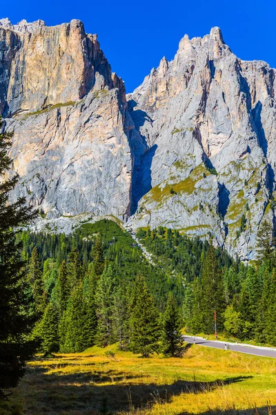 Úton Halad Tűlevelű Erdők Mészkő Dolomit Sziklák Lábánál Alpok Olaszország — Stock Fotó